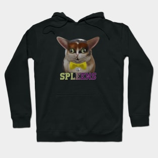 My cat's name is spleens - favorite tee vintage Hoodie